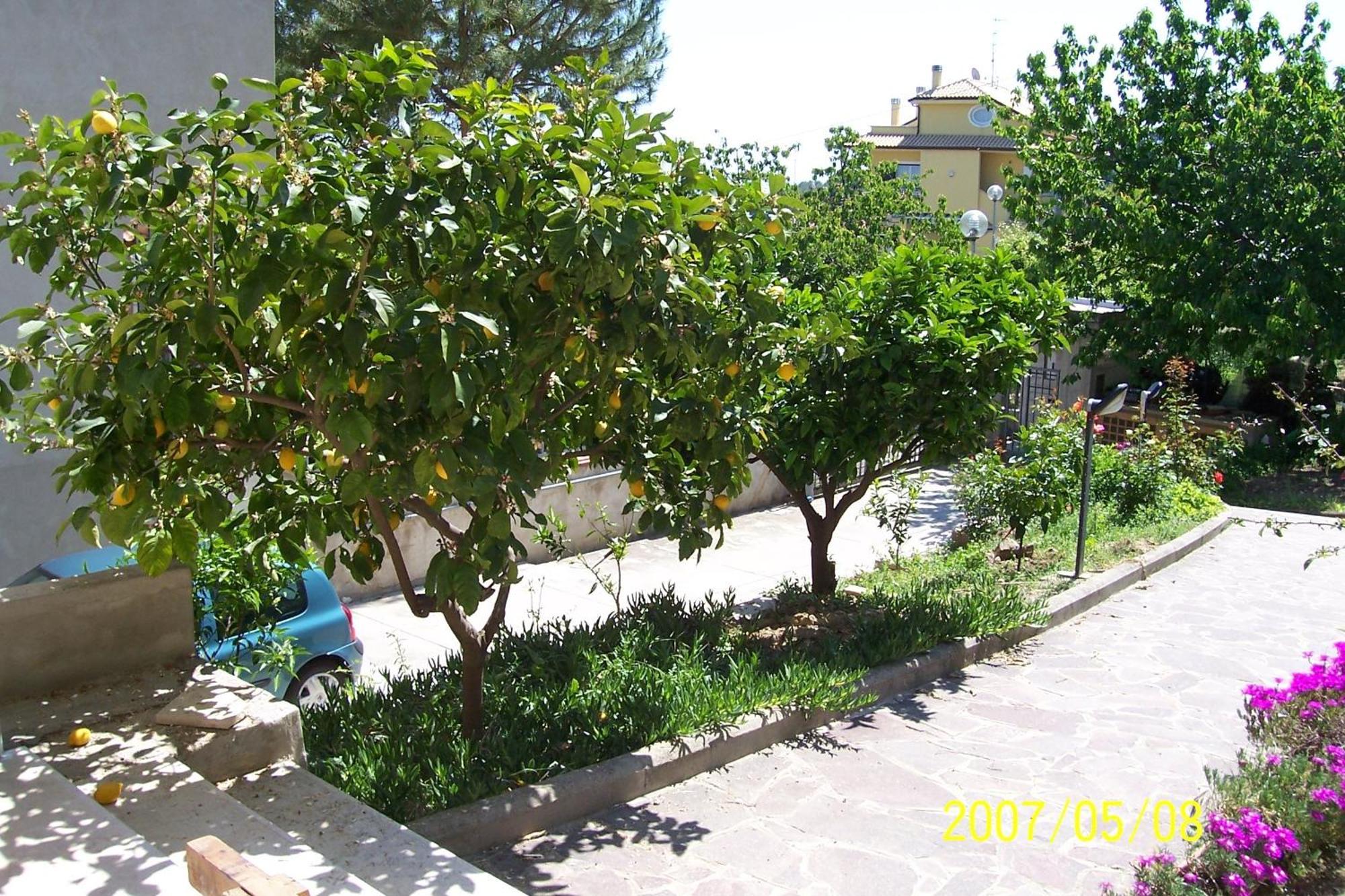 Maison d'hôtes Peppe